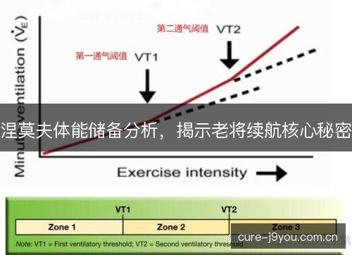 涅莫夫体能储备分析,揭示老将续航核心秘密 涅莫夫体能储备分析,揭示老将续航核心秘密